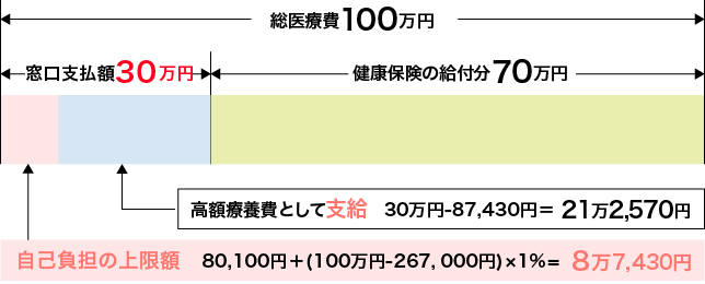 高額な医療費を支払ったとき